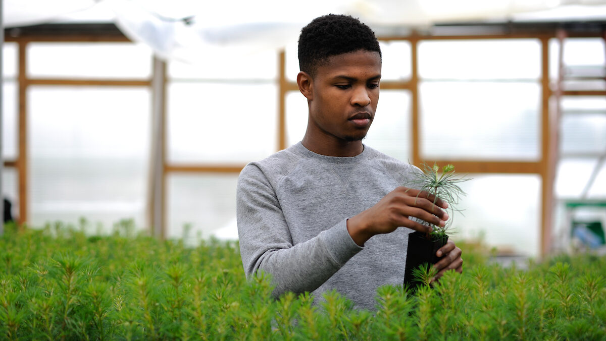 A CNR student works in a greenhouse. 